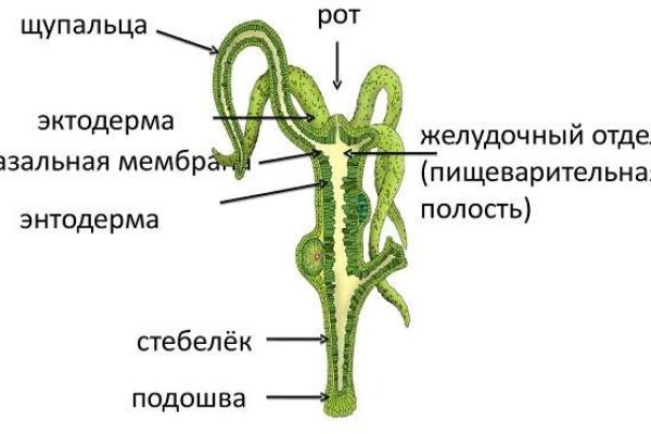 Зайти на кракен