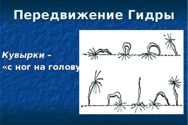 Kraken фейк сайт