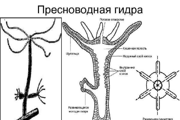 Кракен маркетплейс что там продают