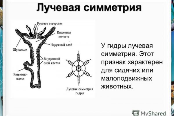 Модератор на кракене